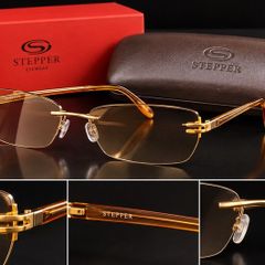 New Sunglasses _ Stepper