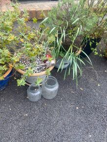 Ceramic and plastic pots