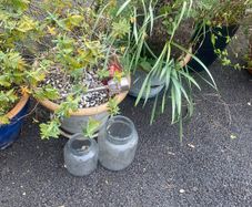 Ceramic and plastic pots