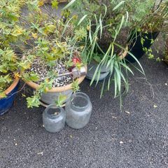 Ceramic and plastic pots
