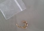 Daith / Septum Earring