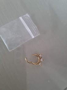 Daith / Septum Earring