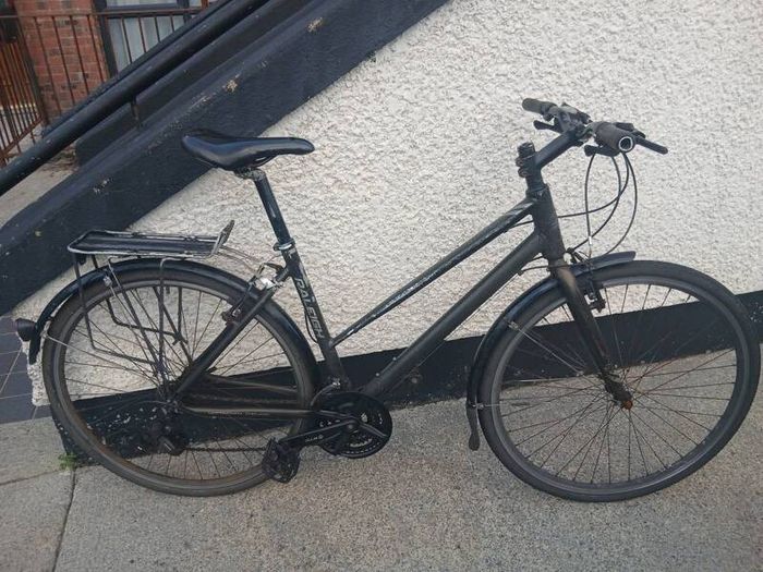 Adults Bike