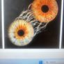 120 euro voucher for Iris Photography Cork Image 2