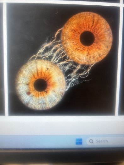 120 euro voucher for Iris Photography Cork