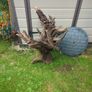 Fish Tank Drift Wood Image 3