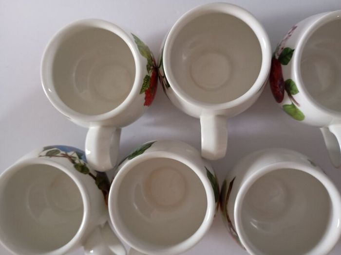 Portmeirion Pomona Set of 6 Vintage Mugs Made in England Rare Assorted Fruit Collection