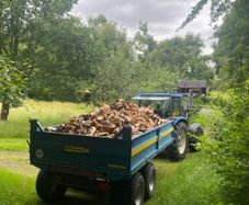 Firewood
