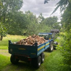 Firewood