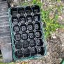 plant pots Image 2