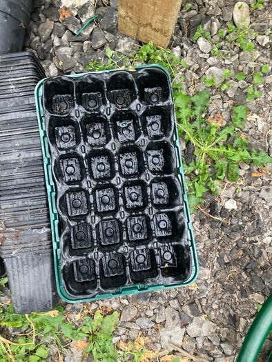 plant pots
