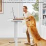 Electric Standing Desk Height Adjustable 100 x 60cm, Sit Stand Desk Image 2