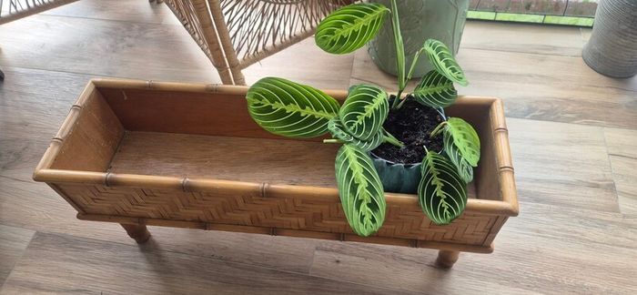 Mid Century Planter