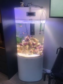 Fish Tanks For Sale