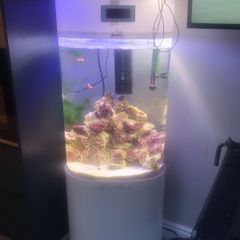 Fish Tanks For Sale