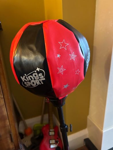 Punching bag and gloves