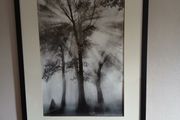 large black and white picture.