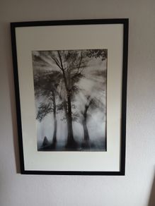 large black and white picture.