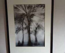 large black and white picture.