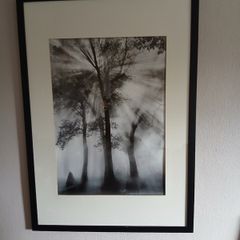large black and white picture.