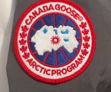 Canada goose Wyndham
