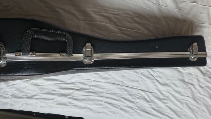 Stunning Guitar Hardshell case
