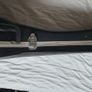 Stunning Guitar Hardshell case Image 5