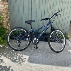 Girls 24" bike