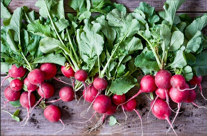 Radish Seeds