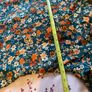 Blouse Image 4