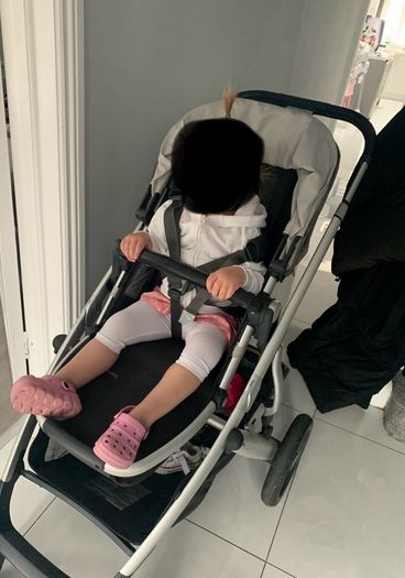 Uppababy vista