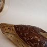 Vintage Hand Carved and Painted Decoy Duck Image 3