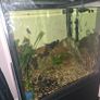 200l fish tank Image 3