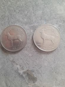 2 x 1996 punt coins