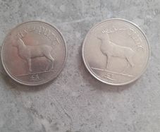 2 x 1996 punt coins