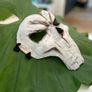 Death Mask Skull Image 8
