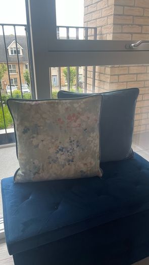 2 Velvet Cushions