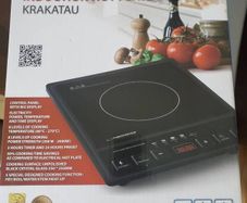 Esperanza EKH011 Black induction cooker