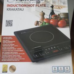 Esperanza EKH011 Black induction cooker