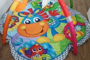 Baby play mat/gym