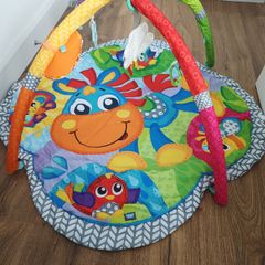 Baby play mat/gym