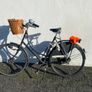 Bear Dutch Ladies Bicycle Image 2