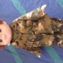 Stuff Toys Image 6