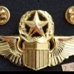 United states,  aviation wings ,,,,,,(295)