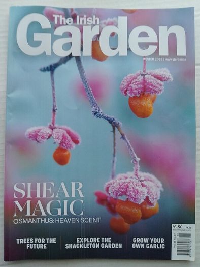 The Irish Garden