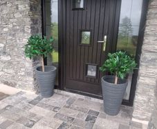 front door plants