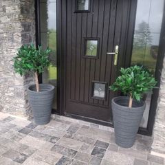 front door plants