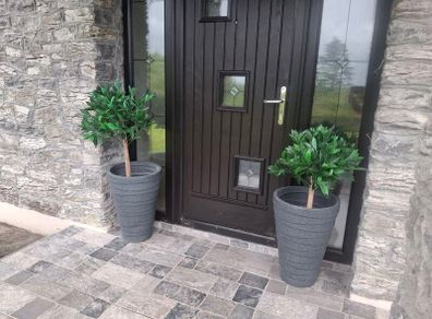 front door plants