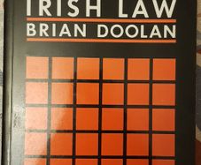 Principles Of Irish Law by Brian Doolan