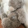 Two Soft Teddy's Image 3